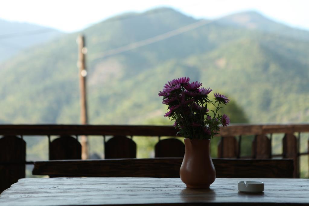 Гостевой дом Dilijan Orran Экстерьер фото